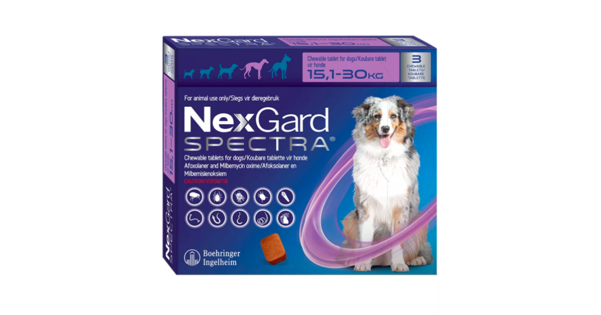 Pet Heaven Express | Buy NexGard Online in South Africa | Nexgard