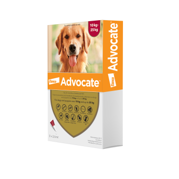 Advocate Large Dog Tick, Flea & Worm Spot-On Treatment -10-25kg