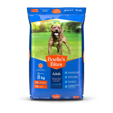 Boelie's Bites Adult Dog Food 