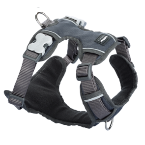 Red Dingo Padded Dog Harness-Grey