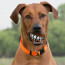 Rogz Grinz Ball Treat Dog Toy-Lifestyle