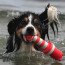 Rogz Lighthouse Dog Toy-Red-Lifestyle