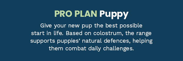 Pro Plan Puppy