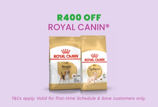 Coupon 3