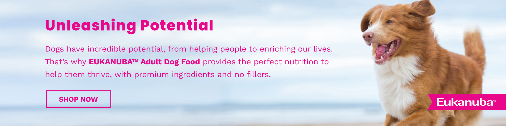 Eukanuba Adult Dog Food